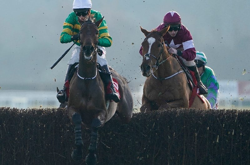 fairyhouse races