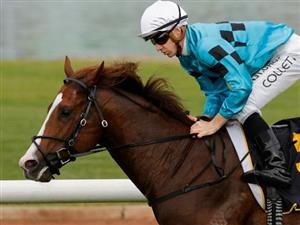 Jason Collett Canterbury Megabet