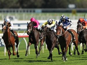 Wyong Tips