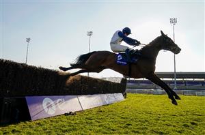 2021 Aintree Bowl Tips - 9/1 shot the value bet in wide-open Grade One
