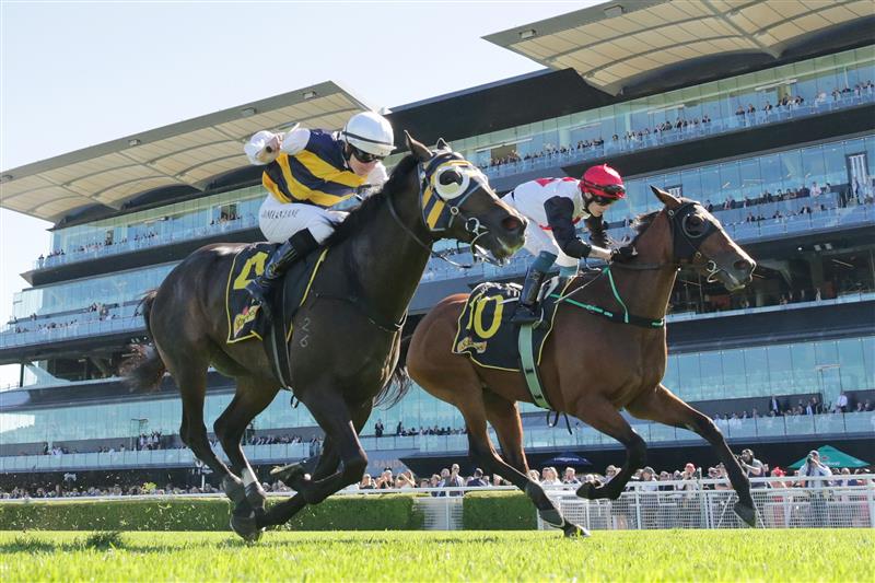 SYDNEY, AUSTRALIA - APRIL 10: Damien Lane on Quick Thinker wins race 5 the Schweppes Chairman’s Qualityduring The Championships at Royal Randwick Racecourse on April 10, 2021 in Sydney, Australia. (Photo by Mark Evans/Getty Images)