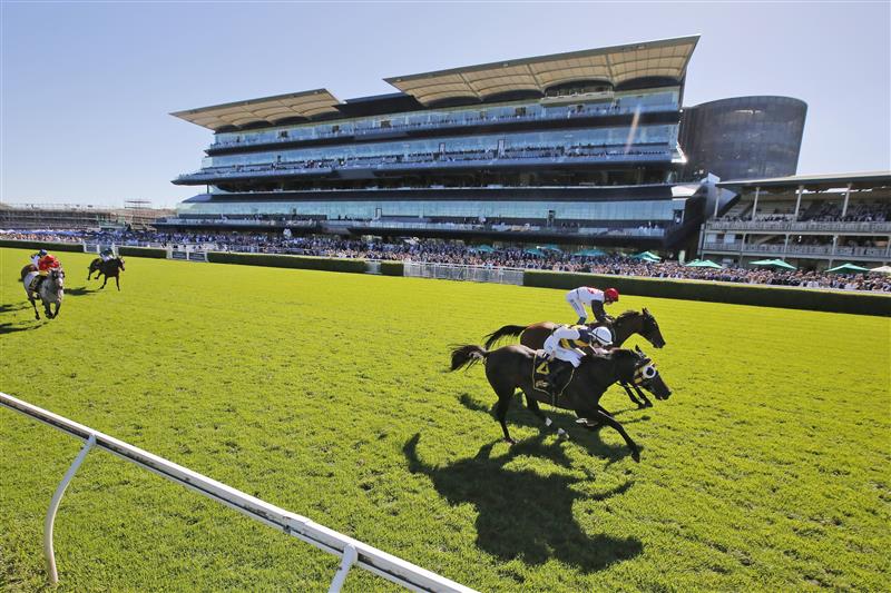 SYDNEY, AUSTRALIA - APRIL 10: Damien Lane on Quick Thinker wins race 5 the Schweppes Chairman’s Qualityduring The Championships at Royal Randwick Racecourse on April 10, 2021 in Sydney, Australia. (Photo by Mark Evans/Getty Images)