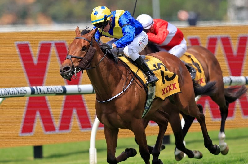 Sydney Cup Betting Odds