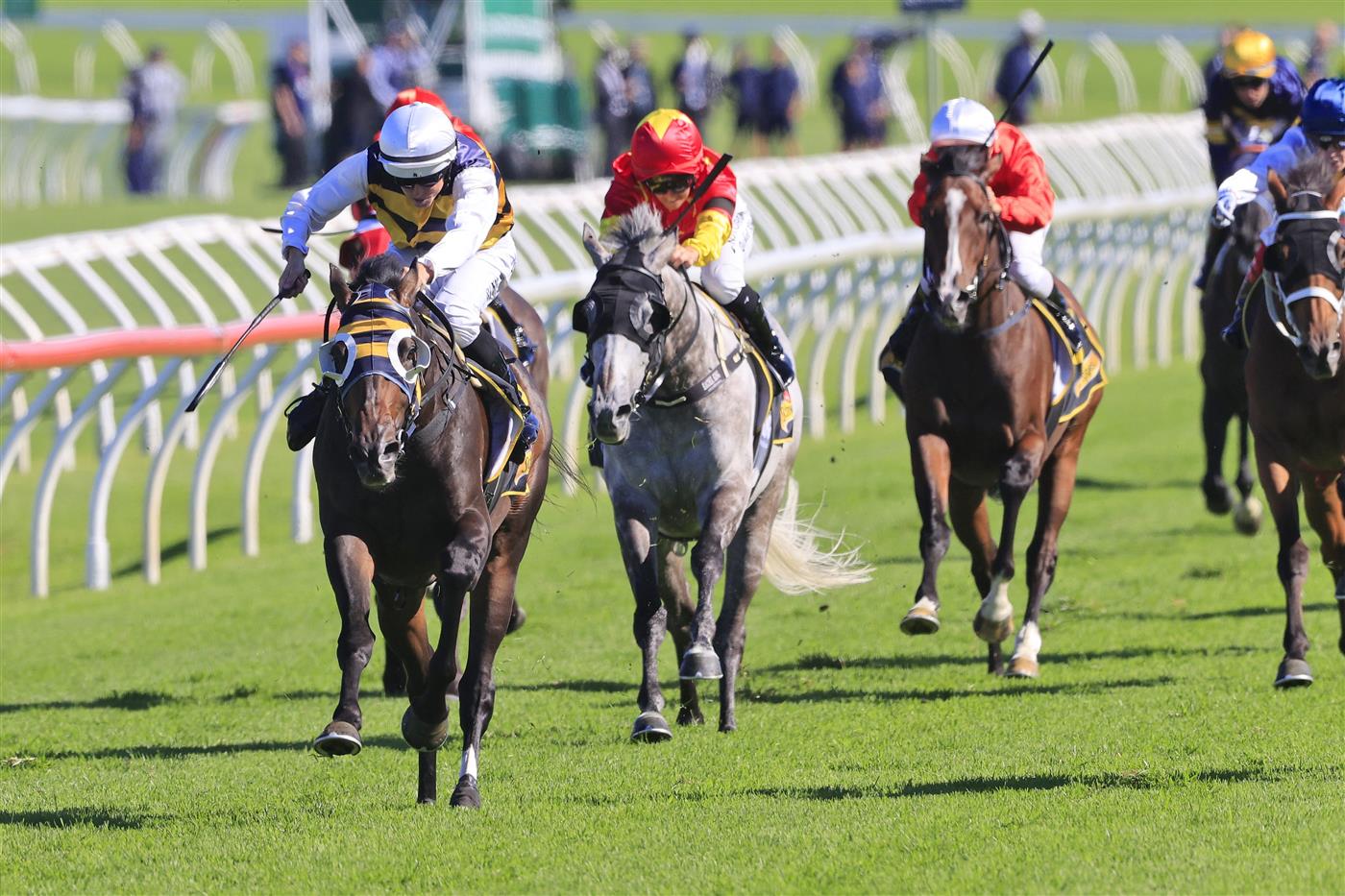 SYDNEY, AUSTRALIA - APRIL 10: Damien Lane on Quick Thinker wins race 5 the Schweppes Chairman’s Qualityduring The Championships at Royal Randwick Racecourse on April 10, 2021 in Sydney, Australia. (Photo by Mark Evans/Getty Images)