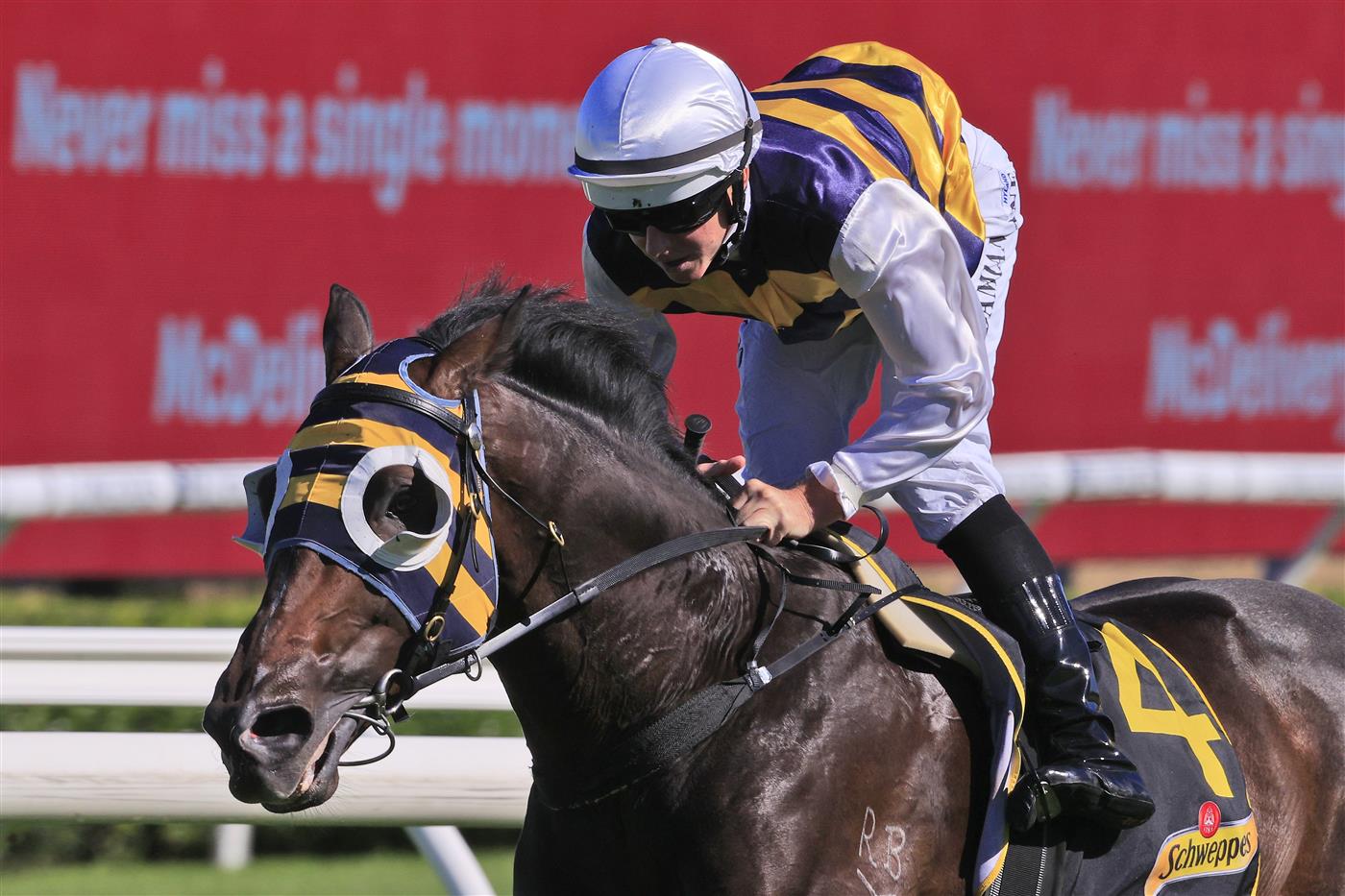 SYDNEY, AUSTRALIA - APRIL 10: Damien Lane on Quick Thinker wins race 5 the Schweppes Chairman’s Qualityduring The Championships at Royal Randwick Racecourse on April 10, 2021 in Sydney, Australia. (Photo by Mark Evans/Getty Images)