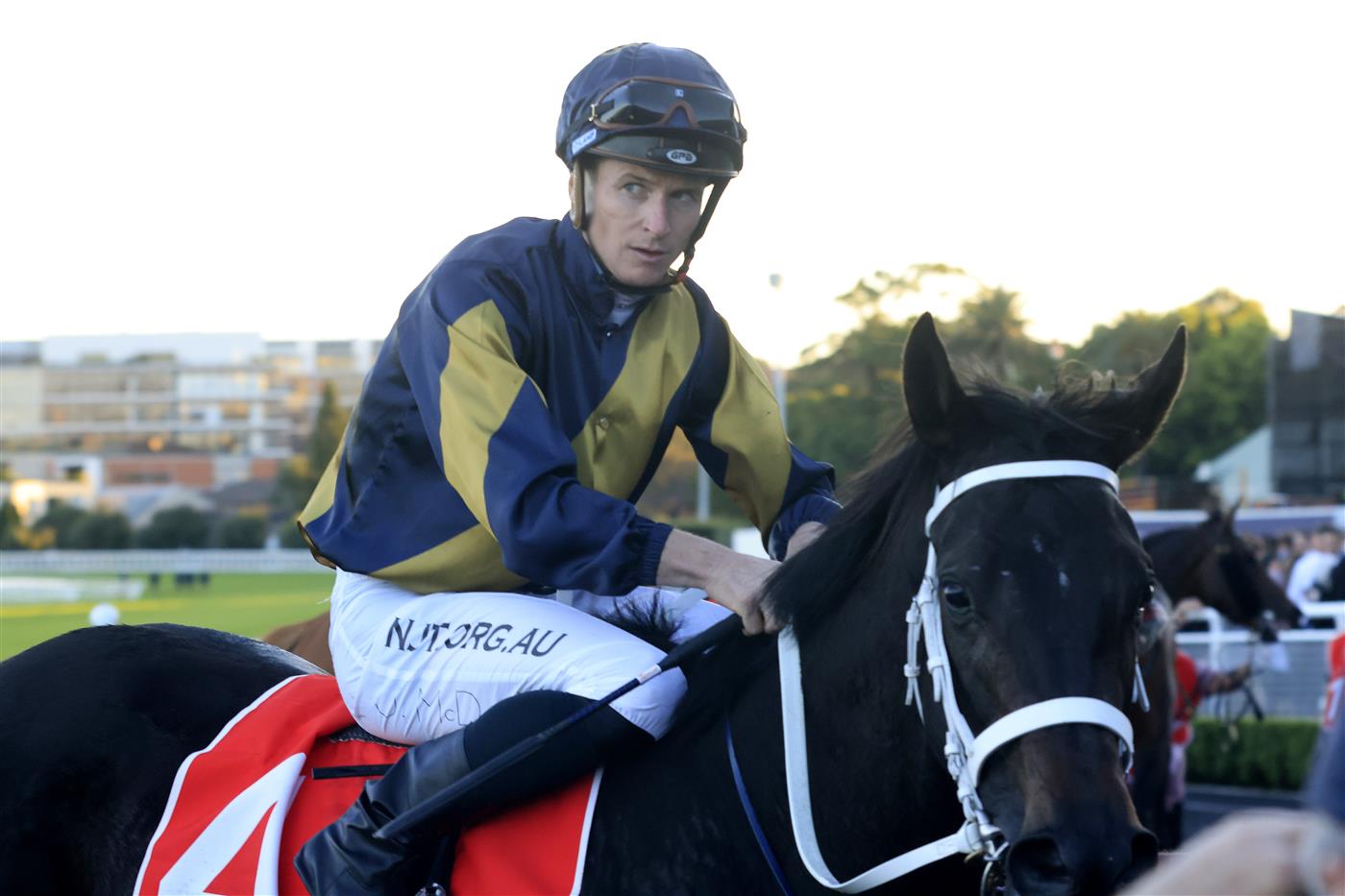 SYDNEY, AUSTRALIA - APRIL 10: James McDonald on Matchmaker returns to scale after winning race 10 the China Horse Club PJ Bell Stakes during The Championships at Royal Randwick Racecourse on April 10, 2021 in Sydney, Australia. (Photo by Mark Evans/Getty Images)