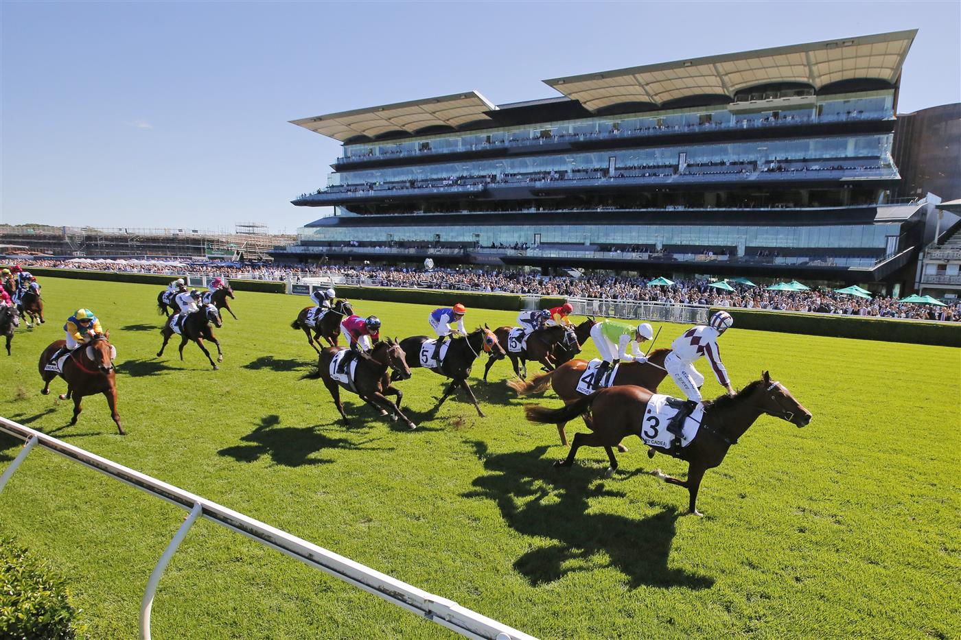 SYDNEY, AUSTRALIA - APRIL 10: Tommy Berry on Art Cadeau wins race 3 the Newhaven Park Country Championships Final during The Championships at Royal Randwick Racecourse on April 10, 2021 in Sydney, Australia. (Photo by Mark Evans/Getty Images)
