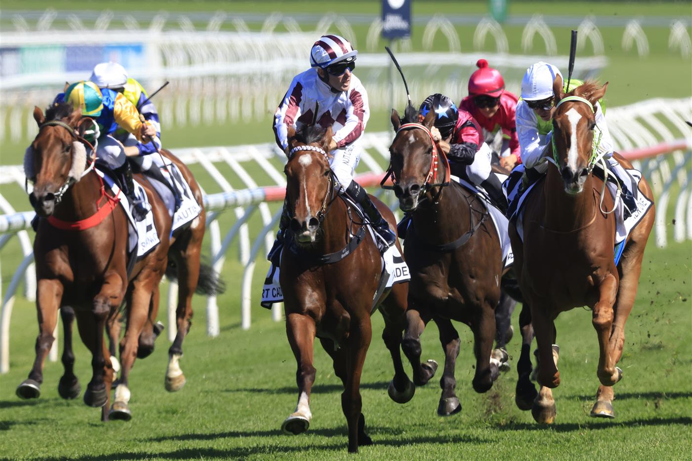 SYDNEY, AUSTRALIA - APRIL 10: Tommy Berry on Art Cadeau wins race 3 the Newhaven Park Country Championships Final during The Championships at Royal Randwick Racecourse on April 10, 2021 in Sydney, Australia. (Photo by Mark Evans/Getty Images)