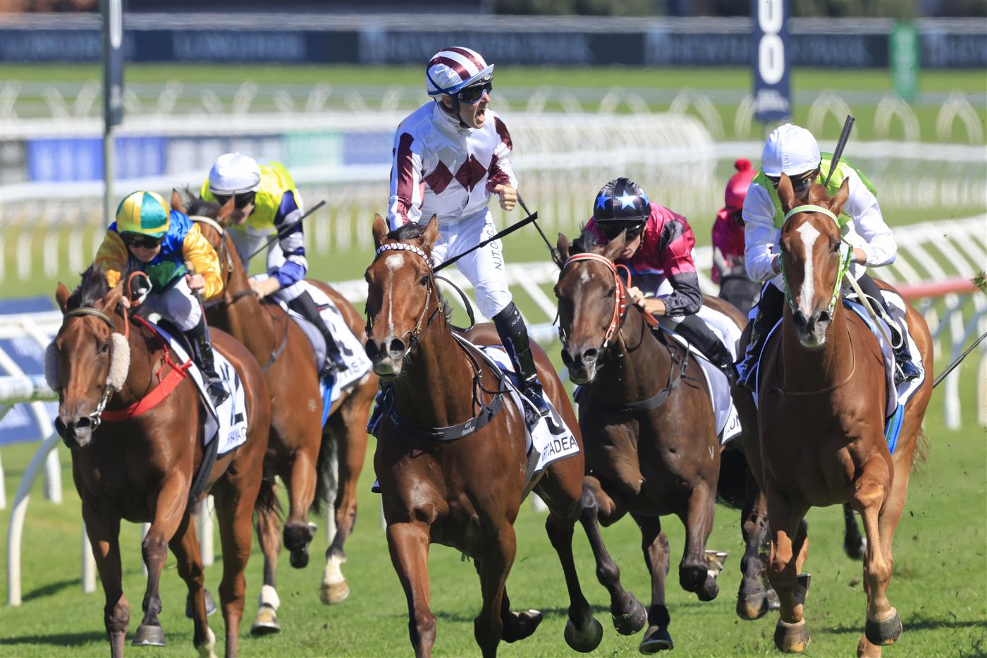 SYDNEY, AUSTRALIA - APRIL 10: Tommy Berry on Art Cadeau wins race 3 the Newhaven Park Country Championships Final during The Championships at Royal Randwick Racecourse on April 10, 2021 in Sydney, Australia. (Photo by Mark Evans/Getty Images)