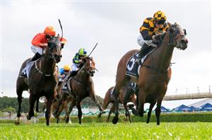2021 Coolmore Legacy Stakes Betting Odds - Probabeel an outright favourite