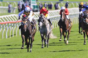 SYDNEY, AUSTRALIA - APRIL 10: Damien Lane on Quick Thinker wins race 5 the Schweppes Chairman’s Qualityduring The Championships at Royal Randwick Racecourse on April 10, 2021 in Sydney, Australia. (Photo by Mark Evans/Getty Images)