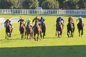 SYDNEY, AUSTRALIA - APRIL 10: James McDonald on Nature Strip wins race 8 the Heineken TJ Smith Stakes during The Championships at Royal Randwick Racecourse on April 10, 2021 in Sydney, Australia. (Photo by Mark Evans/Getty Images)