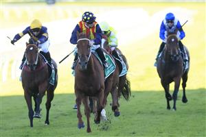 SYDNEY, AUSTRALIA - APRIL 10: James McDonald on Nature Strip wins race 8 the Heineken TJ Smith Stakes during The Championships at Royal Randwick Racecourse on April 10, 2021 in Sydney, Australia. (Photo by Mark Evans/Getty Images)