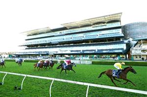 2021 Queen Elizabeth Stakes Betting Odds - Very Elleegant shades Addeybb
