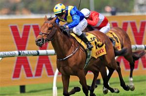 2021 Sydney Cup Betting Odds - Manion Cup quinella head the betting