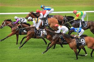 queanbeyan racecourse static