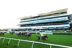 Queen Elizabeth Stakes 2021 Barrier Draw & Final Field