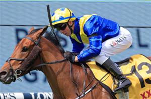 Sydney Cup 2021 Barrier Draw & Final Field