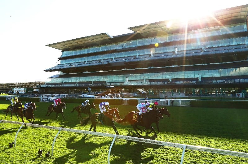 Sydney Cup Tips