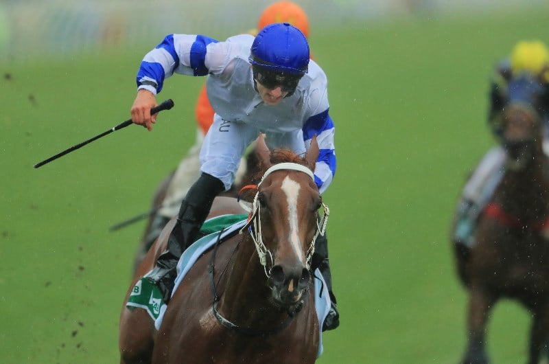Morphettville Tips for 17.04.2021