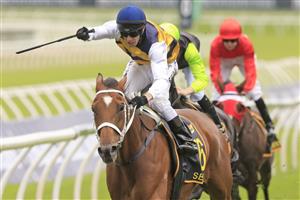 SYDNEY, AUSTRALIA - APRIL 17: Ron Stewart on Selino wins race 7 the Schweppes Sydney Cup during day two of The Championships at Royal Randwick Racecourse on April 17, 2021 in Sydney, Australia. (Photo by Mark Evans/Getty Images)