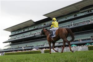 SYDNEY, AUSTRALIA - APRIL 17: Tom Marquand on Addeybb returns to scale after winning race 8 the Longines Queen Elizabeth Stakes during day two of The Championships at Royal Randwick Racecourse on April 17, 2021 in Sydney, Australia. (Photo by Mark Evans/Getty Images)
