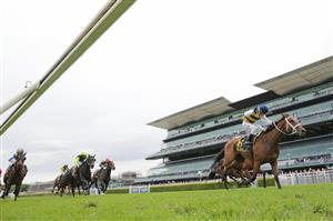 SYDNEY, AUSTRALIA - APRIL 17: Ron Stewart on Selino wins race 7 the Schweppes Sydney Cup during day two of The Championships at Royal Randwick Racecourse on April 17, 2021 in Sydney, Australia. (Photo by Mark Evans/Getty Images)