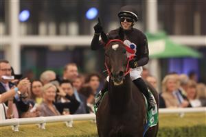 SYDNEY, AUSTRALIA - APRIL 17: Brenton Avdulla on Fasika returns to scale after winning race 10 the TAB Sapphire Stakes during day two of The Championships at Royal Randwick Racecourse on April 17, 2021 in Sydney, Australia. (Photo by Mark Evans/Getty Images)