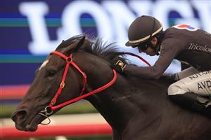 SYDNEY, AUSTRALIA - APRIL 17: Brenton Avdulla on Fasika wins race 10 the TAB Sapphire Stakes during day two of The Championships at Royal Randwick Racecourse on April 17, 2021 in Sydney, Australia. (Photo by Mark Evans/Getty Images)
