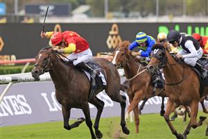 SYDNEY, AUSTRALIA - APRIL 17: James McDonald on Wild Ruler wins race 6 the Arrowfield 3YO Sprintduring day two of The Championships at Royal Randwick Racecourse on April 17, 2021 in Sydney, Australia. (Photo b y Mark Evans/Getty Images)
