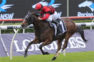 SYDNEY, AUSTRALIA - APRIL 17: Tim Clark on Converge wins race 1 the Agency Real Estate Mile during day two of The Championships at Royal Randwick Racecourse on April 17, 2021 in Sydney, Australia. (Photo by Mark Evans/Getty Images)