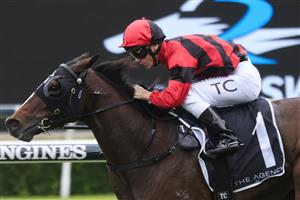 SYDNEY, AUSTRALIA - APRIL 17: Tim Clark on Converge wins race 1 the Agency Real Estate Mile during day two of The Championships at Royal Randwick Racecourse on April 17, 2021 in Sydney, Australia. (Photo by Mark Evans/Getty Images)