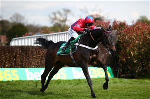 Celebration Chase Live Stream - Watch the Sandown race live online