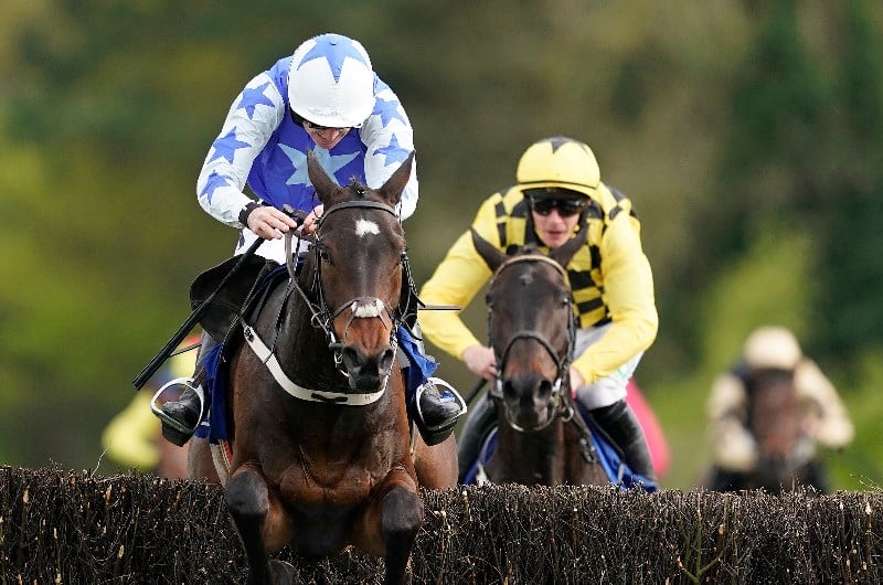 Punchestown Gold Cup