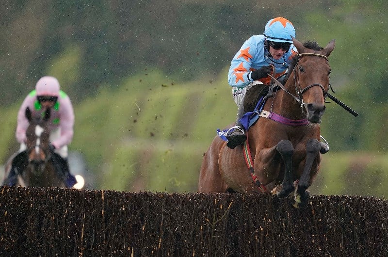 punchestown chase