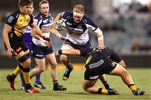 brumbies