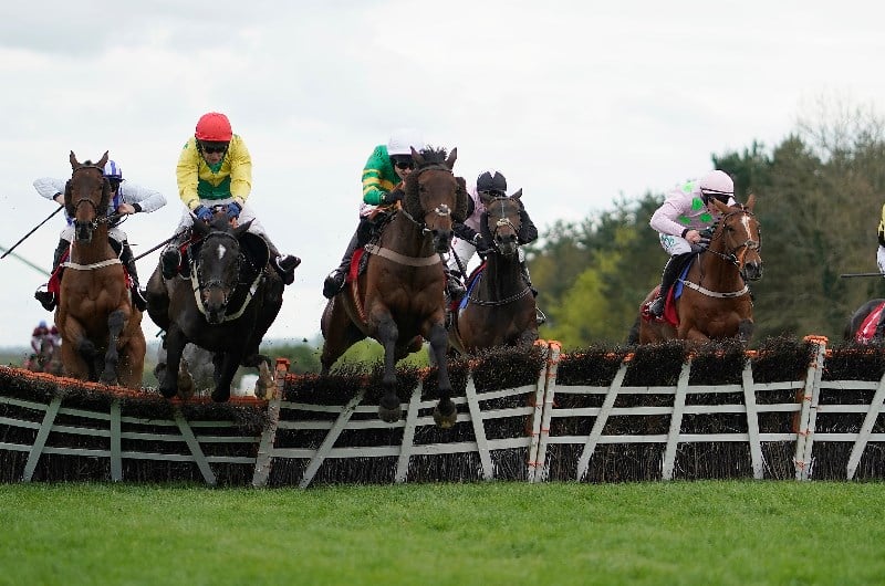Champion Stayers Hurdle Live Stream Watch the Punchestown race live