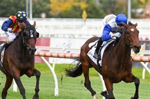 South Australian Derby Barrier Draw