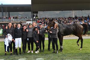 WARRNAMBOOL, AUSTRALIA - MAY 06: Gold Medals poses with team Symon Wilde after winning in Race 7, the Grand Annual Steeplechase, on Grand Annual Day during the Warrnambool Jumps Carnival at Warrnambool Racing Club on May 06, 2021 in Warrnambool, Australia. (Photo by Vince Caligiuri/Getty Images)