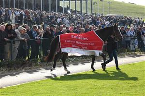 WARRNAMBOOL, AUSTRALIA - MAY 06: 2015 Melbourne Cup winner Prince of Penzance is seen during the Warrnambool Jumps Carnival at Warrnambool Racing Club on May 06, 2021 in Warrnambool, Australia. (Photo by Vince Caligiuri/Getty Images)
