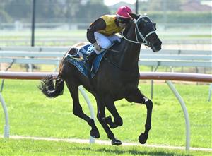WARRNAMBOOL, AUSTRALIA - MAY 06: Ben Price riding Redwood Rising winning race 5, the Ludeman Real Estate Bm64 Handicap, on Grand Annual Day during the Warrnambool Jumps Carnival at Warrnambool Racing Club on May 06, 2021 in Warrnambool, Australia. (Photo by Vince Caligiuri/Getty Images)