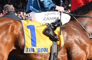 WARRNAMBOOL, AUSTRALIA - MAY 06: Mark Zahra riding Le Don De Vie winning Race 9, the Sungold Milk Warrnambool Cup, during the Warrnambool Jumps Carnival at Warrnambool Racing Club on May 06, 2021 in Warrnambool, Australia. (Photo by Vince Caligiuri/Getty Images)