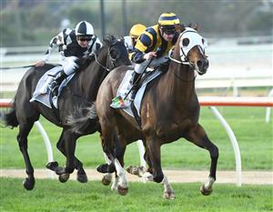 WARRNAMBOOL, AUSTRALIA - MAY 06: Mark Zahra riding Over The Sky winning Race 10, the No Fuss Event Hire Bm64 Handicap, during the Warrnambool Jumps Carnival at Warrnambool Racing Club on May 06, 2021 in Warrnambool, Australia. (Photo by Vince Caligiuri/Getty Images)