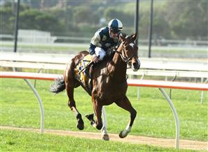 WARRNAMBOOL, AUSTRALIA - MAY 06: Mark Zahra riding Le Don De Vie winning Race 9, the Sungold Milk Warrnambool Cup, during the Warrnambool Jumps Carnival at Warrnambool Racing Club on May 06, 2021 in Warrnambool, Australia. (Photo by Vince Caligiuri/Getty Images)