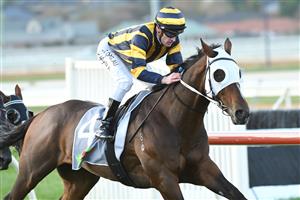 WARRNAMBOOL, AUSTRALIA - MAY 06: Mark Zahra riding Over The Sky winning Race 10, the No Fuss Event Hire Bm64 Handicap, during the Warrnambool Jumps Carnival at Warrnambool Racing Club on May 06, 2021 in Warrnambool, Australia. (Photo by Vince Caligiuri/Getty Images)
