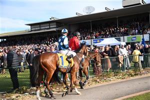 WARRNAMBOOL, AUSTRALIA - MAY 06: Mark Zahra riding Le Don De Vie winning Race 9, the Sungold Milk Warrnambool Cup, during the Warrnambool Jumps Carnival at Warrnambool Racing Club on May 06, 2021 in Warrnambool, Australia. (Photo by Vince Caligiuri/Getty Images)