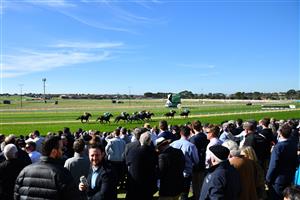 WARRNAMBOOL, AUSTRALIA - MAY 06: Patrick Moloney riding Witchfulthinking winning Race 4, the Catanach's Jewellers F&M BM78 Handicap during the Warrnambool Jumps Carnival at Warrnambool Racing Club on May 06, 2021 in Warrnambool, Australia. (Getty)