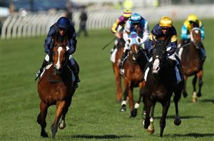 Big Bets for 08.05.2021
