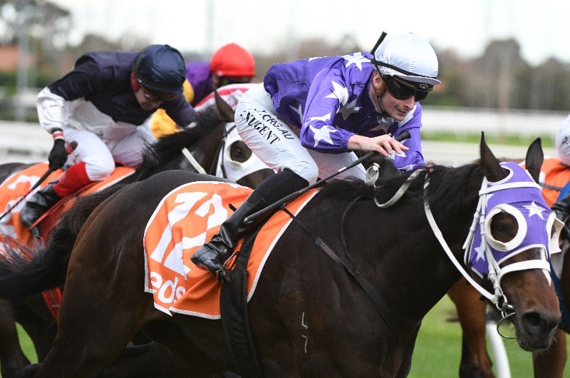 Big Bets Results for 08.05.2021