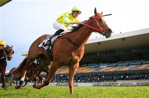 Doomben 10,000 Barrier Draw & Final Field